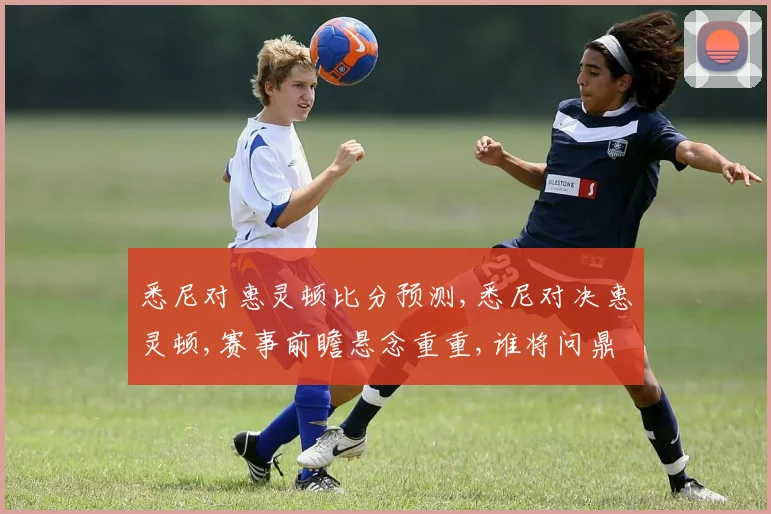 悉尼对惠灵顿比分预测,悉尼对决惠灵顿,赛事前瞻悬念重重,谁将问鼎胜利