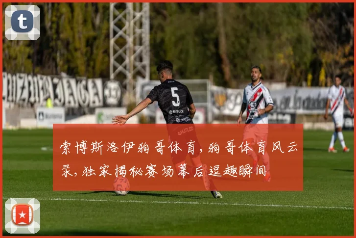索博斯洛伊狗哥体育,狗哥体育风云录,独家揭秘赛场幕后逗趣瞬间