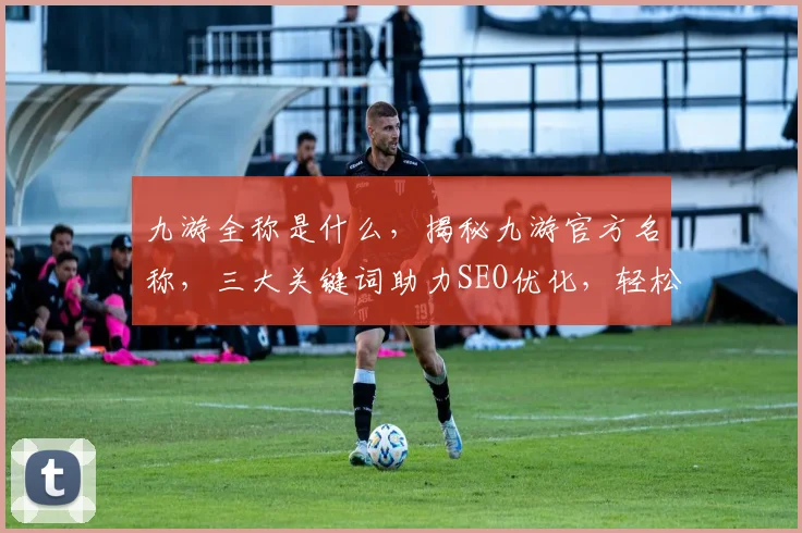九游全称是什么，揭秘九游官方名称，三大关键词助力SEO优化，轻松掌握