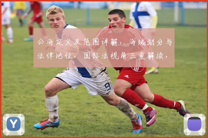 公海定义及范围详解，海域划分与法律地位，国际法视角三重解读，