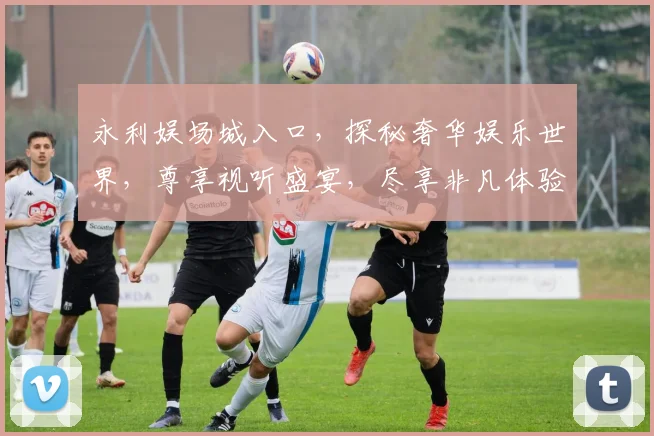 永利娱场城入口，探秘奢华娱乐世界，尊享视听盛宴，尽享非凡体验，不容错过