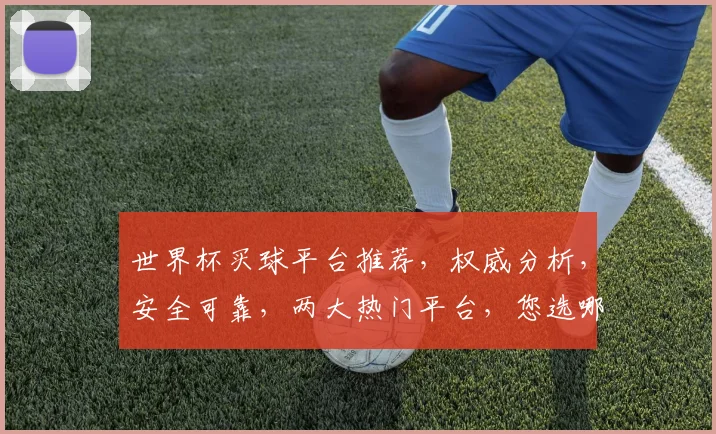 世界杯买球平台推荐，权威分析，安全可靠，两大热门平台，您选哪个