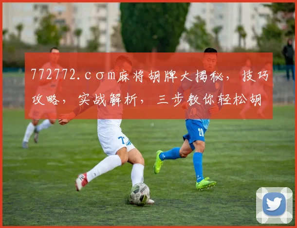 772772.cσm麻将胡牌大揭秘，技巧攻略，实战解析，三步教你轻松胡牌