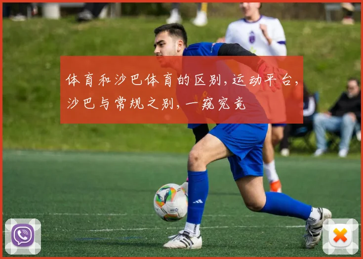 体育和沙巴体育的区别,运动平台,沙巴与常规之别,一窥究竟